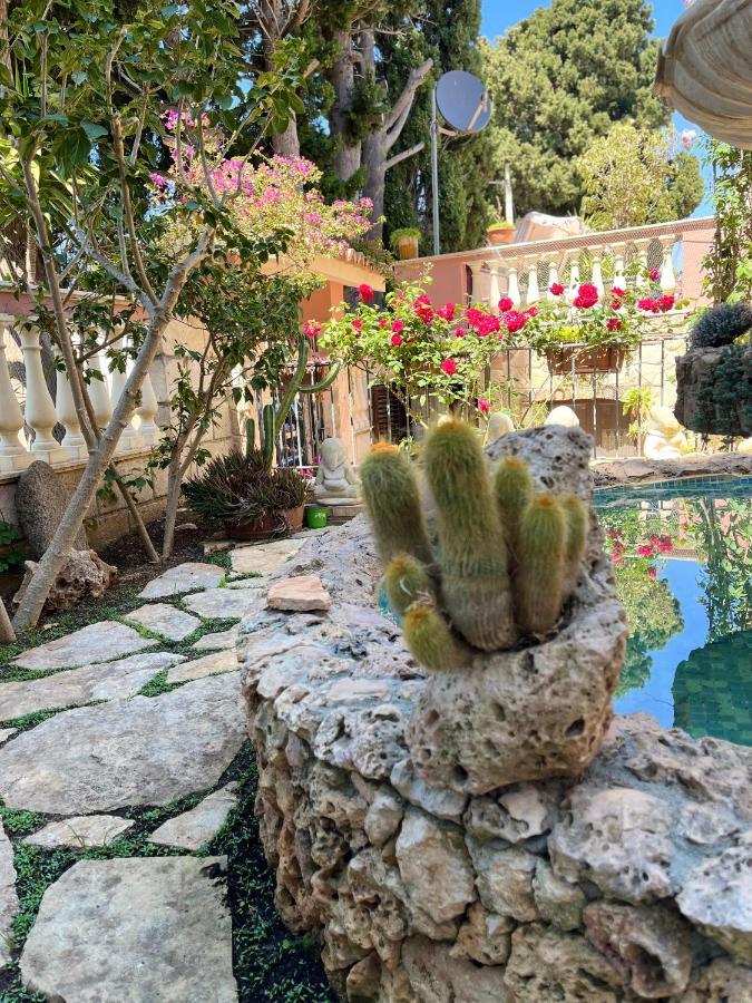 B&B Villa Regina Santa Domenica  Exteriér fotografie
